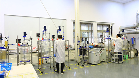 91成人麻豆反应釜